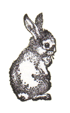 Foxaway Rabbits logo